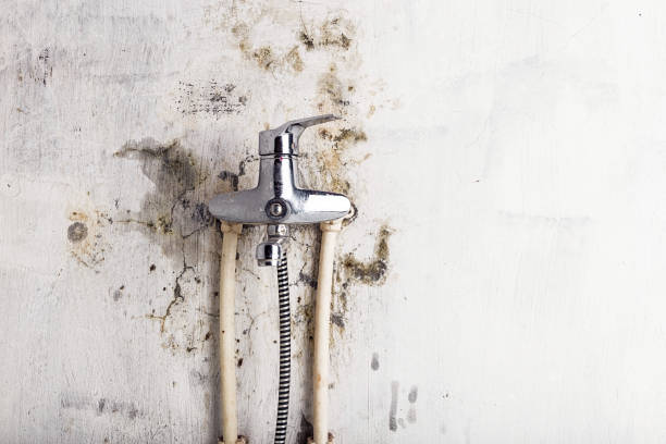 Best Mold Testing  in Laurinburg, NC