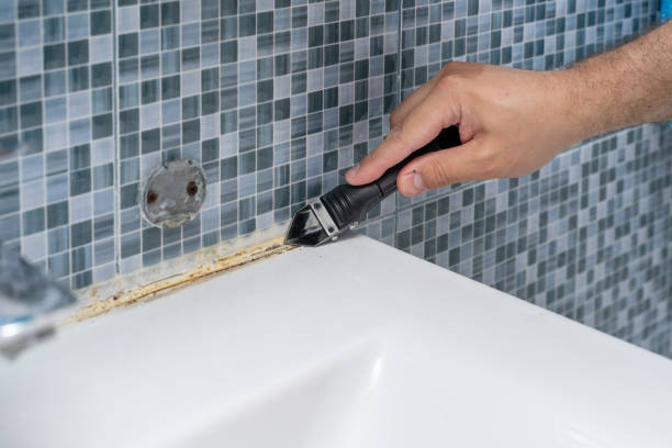 Best Local Mold Removal Service  in Laurinburg, NC