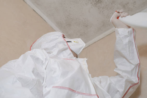 Water Damage Restoration in Laurinburg, NC