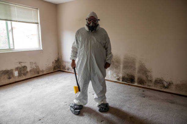 Best Residential Mold Removal  in Laurinburg, NC